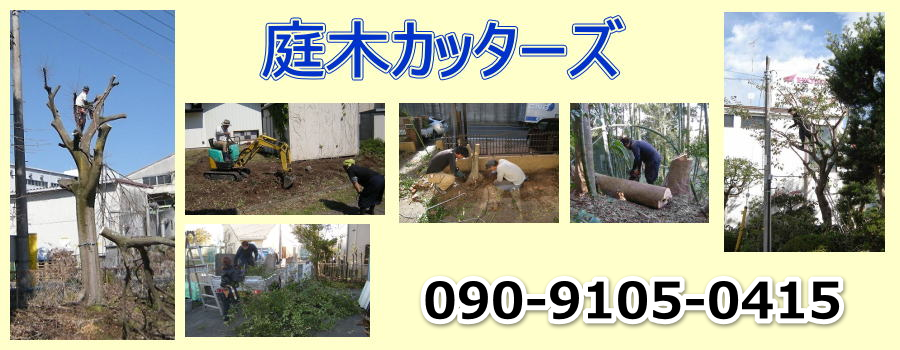 庭木カッターズ | 角田市の庭木の伐採を承ります。